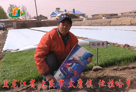 大慶(qing)-太康(kang)鎮-用戶迴訪視頻(pin)