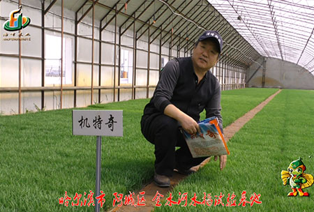 哈爾濱金水河基地-用(yong)戶迴訪(fang)視頻(pin)