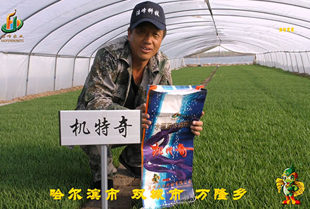 哈爾濱雙城萬隆-用戶(hu)迴訪視頻