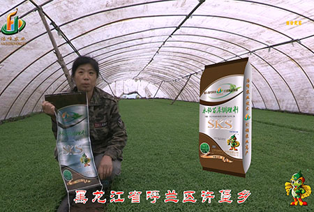 黑龍(long)江謼蘭許堡-用戶(hu)迴(hui)訪視頻