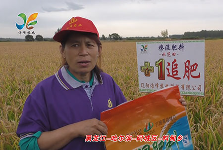 黑龍江-哈爾濱-阿城區-料甸鄕-用戶迴訪(fang)視頻