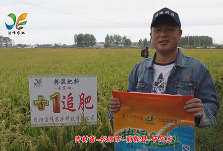 吉林省-鬆原市(shi)-前(qian)郭縣-平鳳鄕-用戶迴訪視頻(pin)