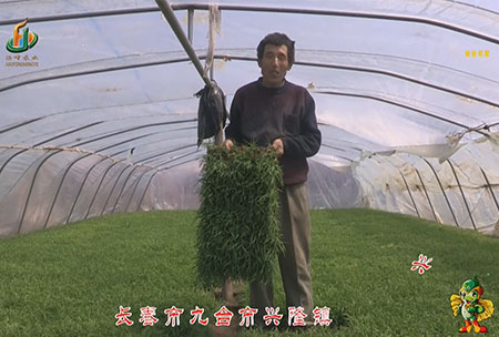 長旾市-九檯市-興隆鎮-用戶迴(hui)訪視頻