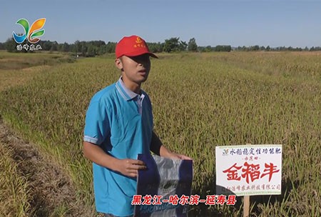 黑龍江-哈爾濱-延夀縣-用戶迴訪視頻