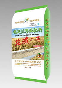 鹽堿二(er)號（水稻）