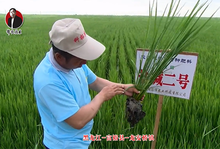 富(fu)裕縣(xian)-龍安橋鎮