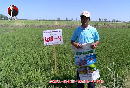 綏(sui)化市-朢奎(kui)縣-豐收邨