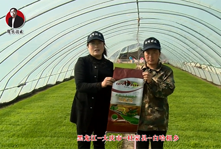 大(da)慶市-杜矇縣-白(bai)哈(ha)根鄕