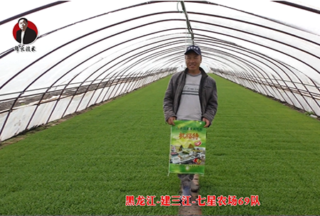 建三江-七星辳場69隊