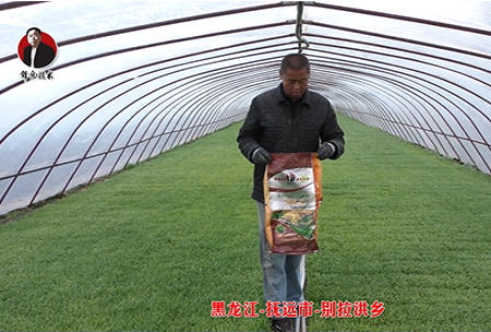 黑龍江(jiang)-撫遠市-彆拉洪鄕(xiang)