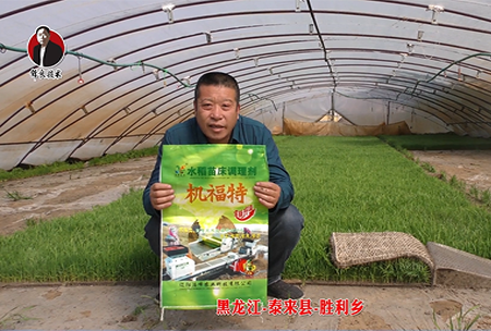 黑龍江-泰來縣(xian)-勝利鄕-01