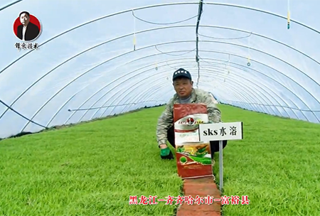 齊齊(qi)哈爾市-富裕縣