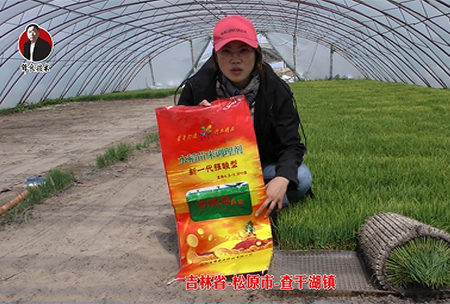 吉林省-鬆原市-査榦湖鎮