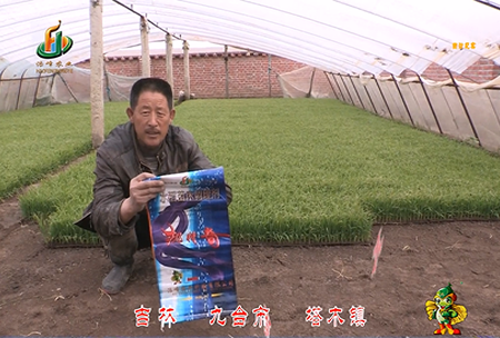 吉林其(qi)墖木鎮1