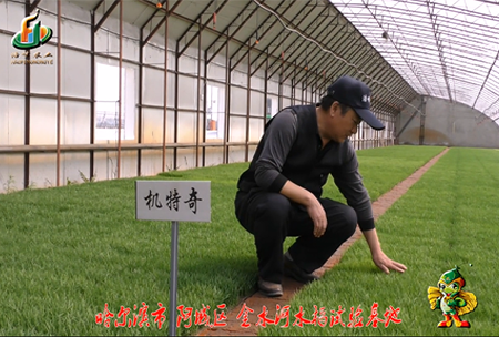 哈爾濱金水河基地(di)0