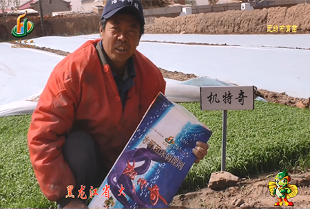 大(da)慶 太康(kang)鎮1